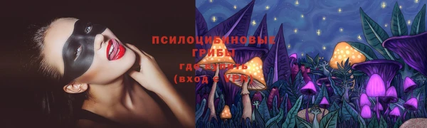 гидропоника Абаза