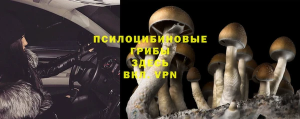 ALPHA PVP Иннополис